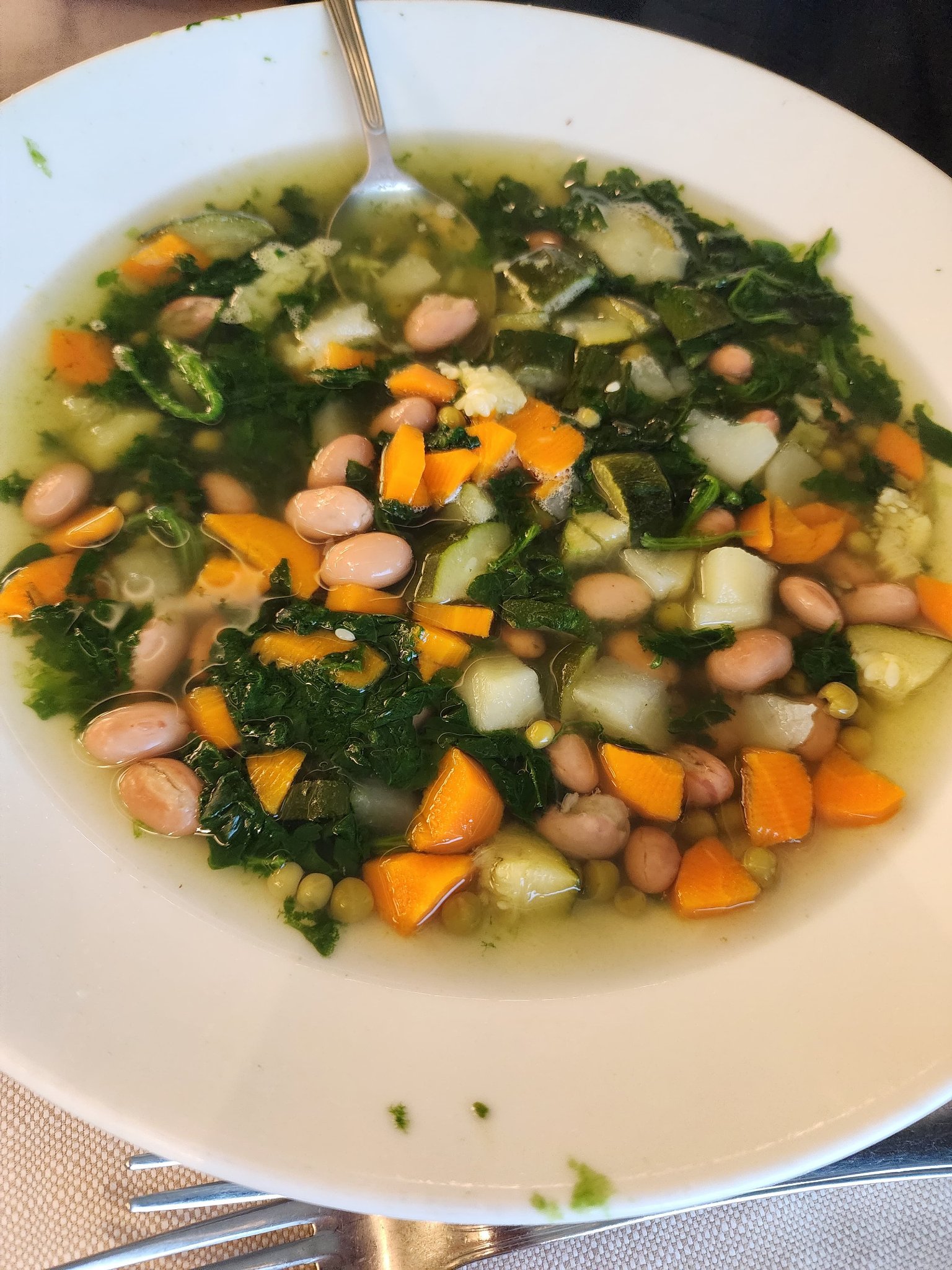 Hearty vegetable soup with beans, carrots, zucchini, peas, and leafy greens